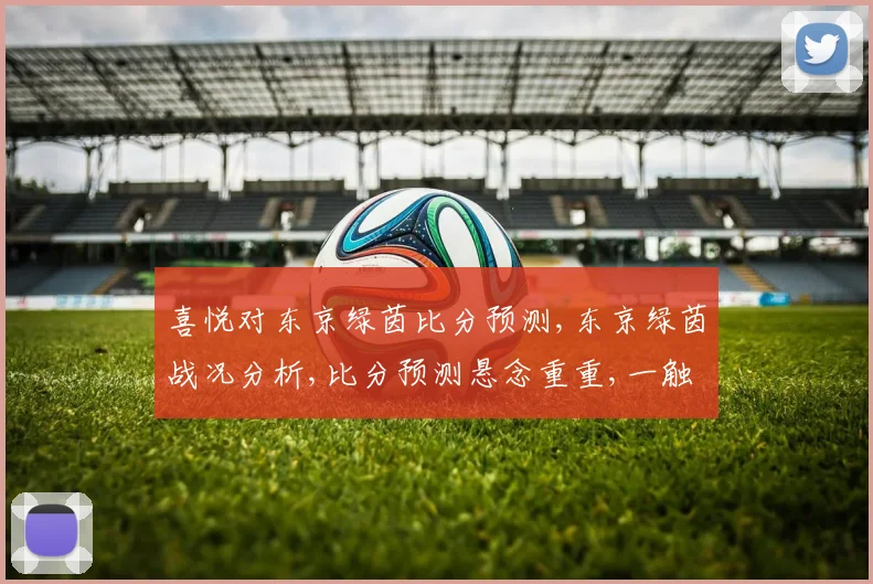 喜悦对东京绿茵比分预测,东京绿茵战况分析,比分预测悬念重重,一触即发