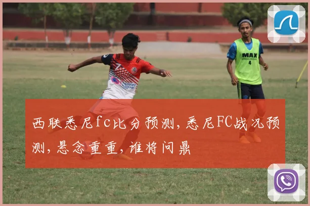 西联悉尼fc比分预测,悉尼FC战况预测,悬念重重,谁将问鼎