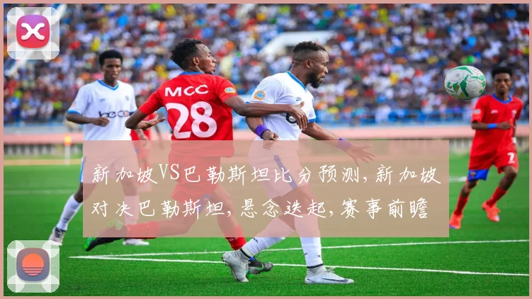 新加坡VS巴勒斯坦比分预测,新加坡对决巴勒斯坦,悬念迭起,赛事前瞻